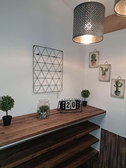 Studio Dans Maison Avec Jardin Et Balcon, Au Calme Serezin-du-Rhone Ngoại thất bức ảnh