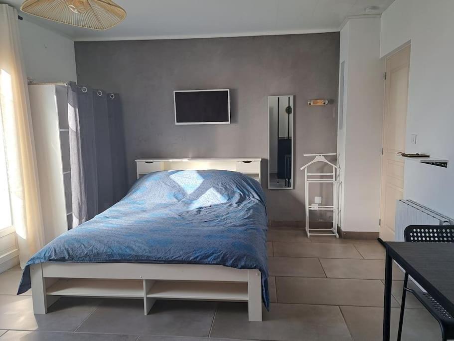 Studio Dans Maison Avec Jardin Et Balcon, Au Calme Serezin-du-Rhone Ngoại thất bức ảnh